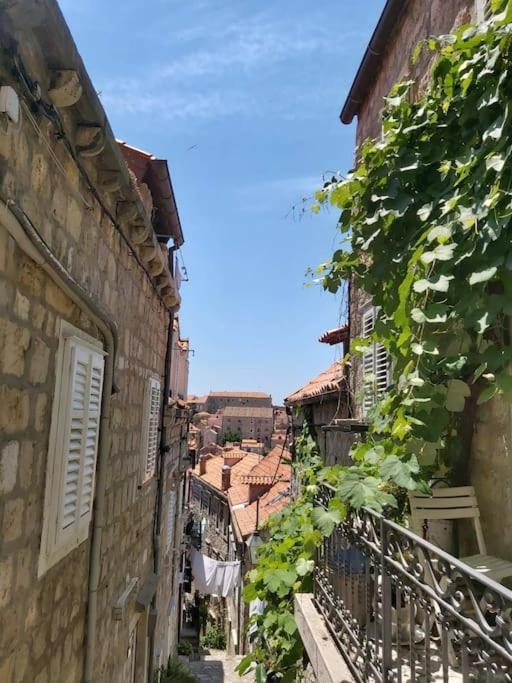 דירות דוברובניק House Marija In Old Town מראה חיצוני תמונה