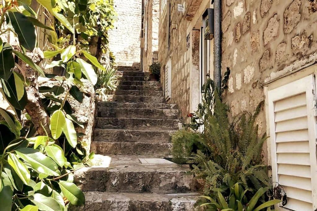 דירות דוברובניק House Marija In Old Town מראה חיצוני תמונה